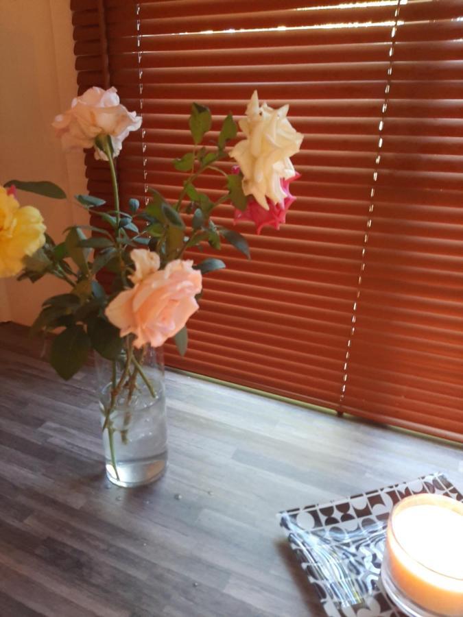 Rosenhof Nut Hut Cottage 클랜윌리엄 외부 사진